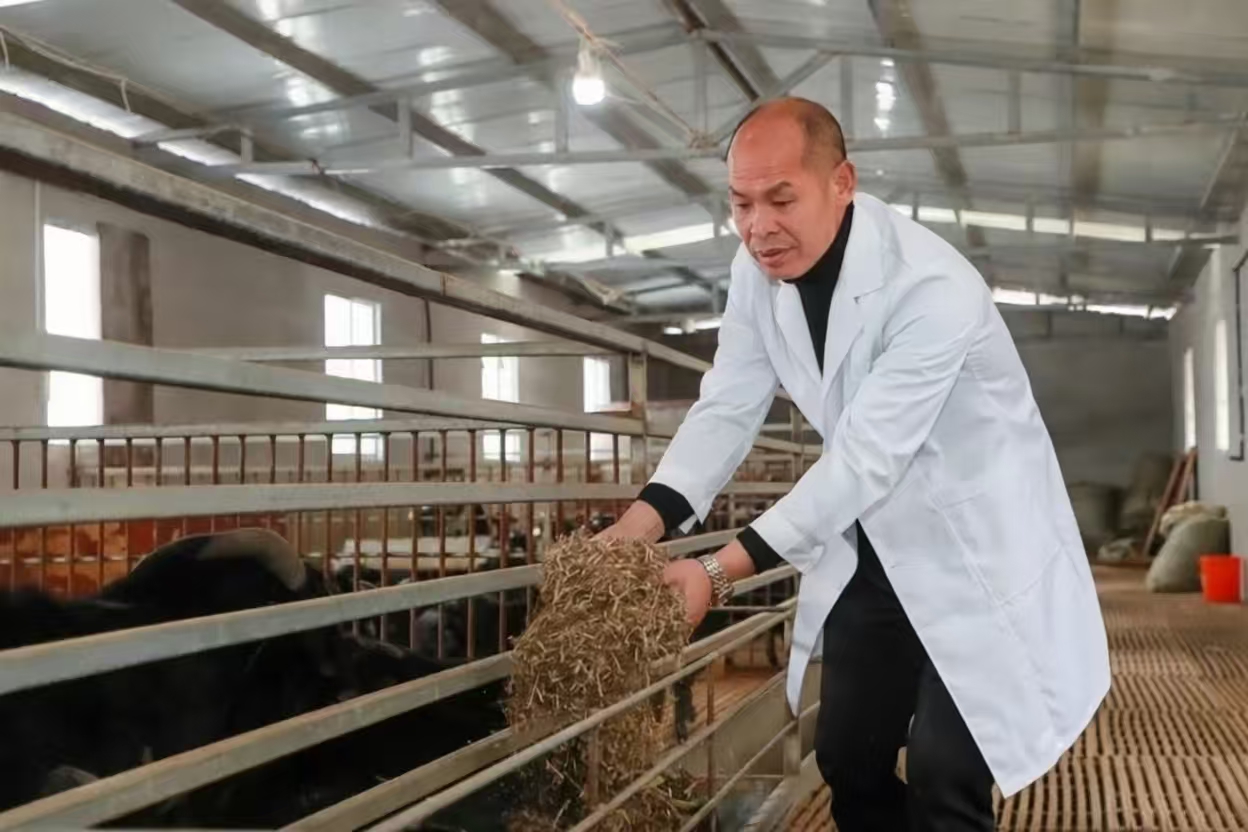 6ce5740f3bdc60f94cd0855792d2b12b